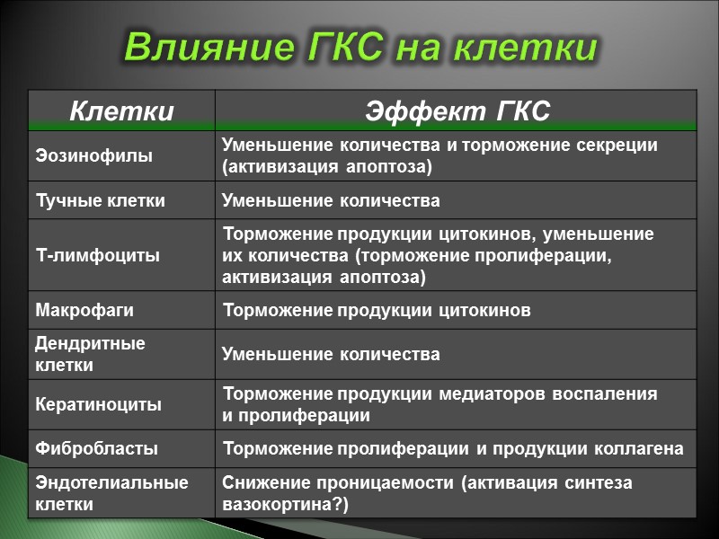 Влияние ГКС на клетки